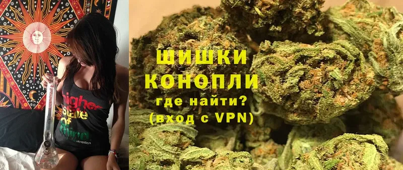 Бошки Шишки Ganja  где купить наркоту  Будённовск 